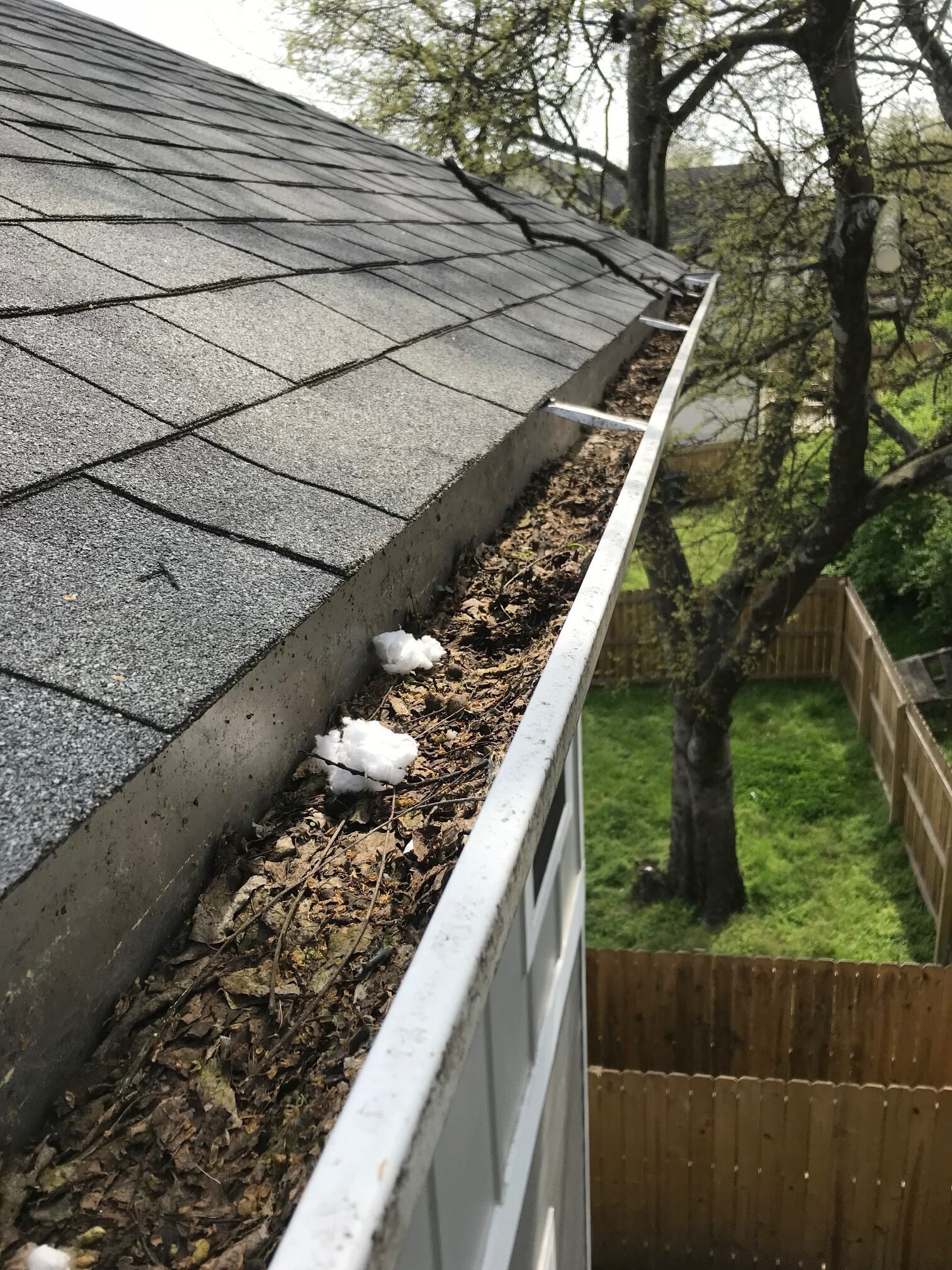 Clogged residential gutter filled with leaves before cleaning